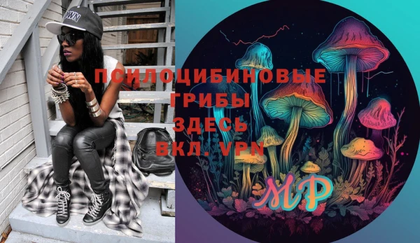 прущие грибы Валуйки