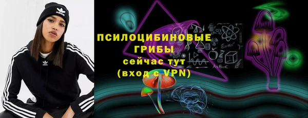 стаф Няндома