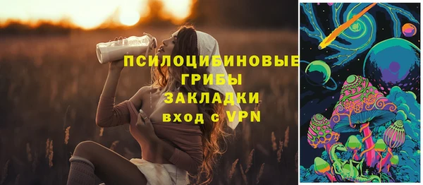 стаф Няндома