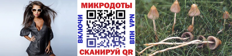 магазин продажи наркотиков  Болхов  Галлюциногенные грибы Magic Shrooms 